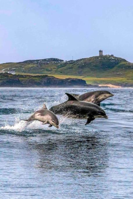 Cosy Portmor Log Cabin- Sea Views, Deck & Relaxation Malin Head 外观 照片